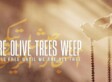 Where Olive Trees Weep