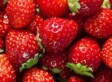 Strawberry Social & Hymn Sing